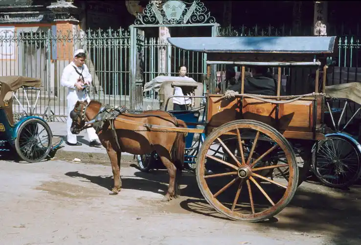 Xe thổ mộ - ký ức một thời miền nam xưa